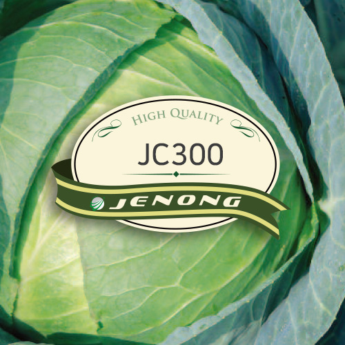 JC300